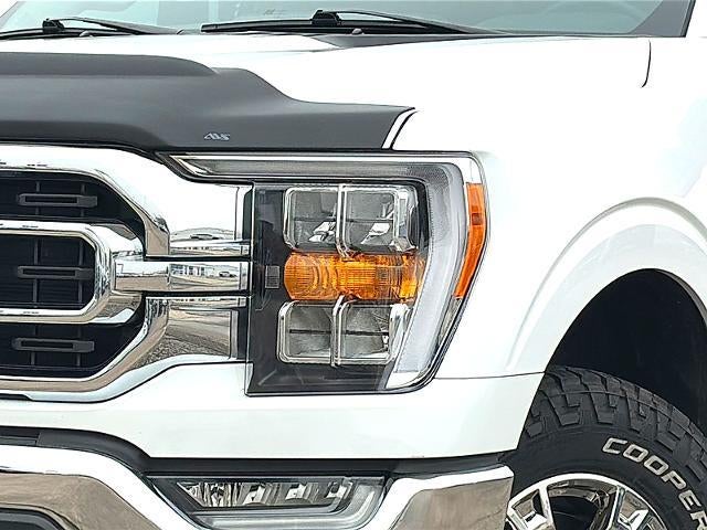 2023 Ford F-150 XLT 2WD SuperCrew 5.5' Box