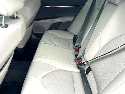 2023 Toyota Camry XLE Auto (SE)