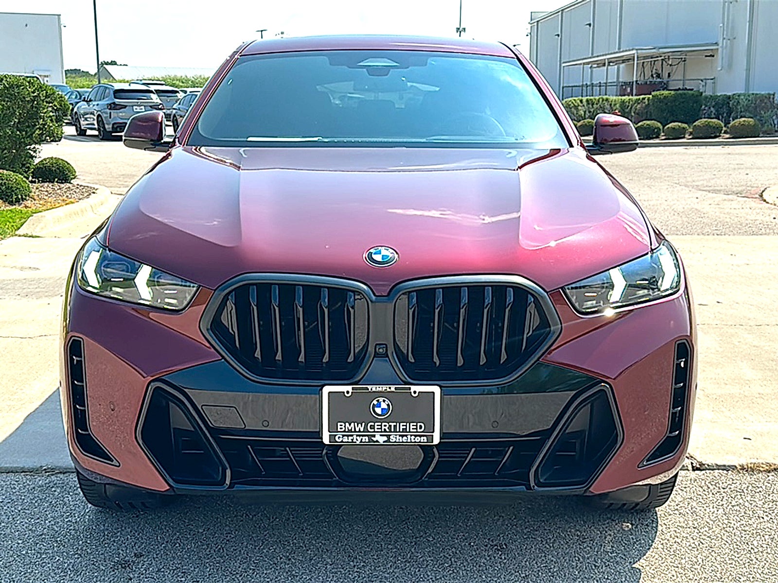 2025 BMW X6 xDrive40i